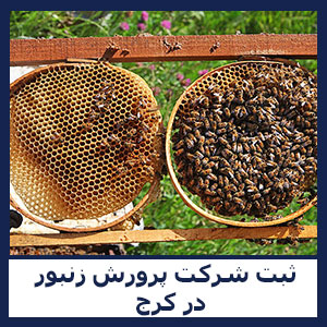 ثبت شرکت پرورش زنبور در کرج